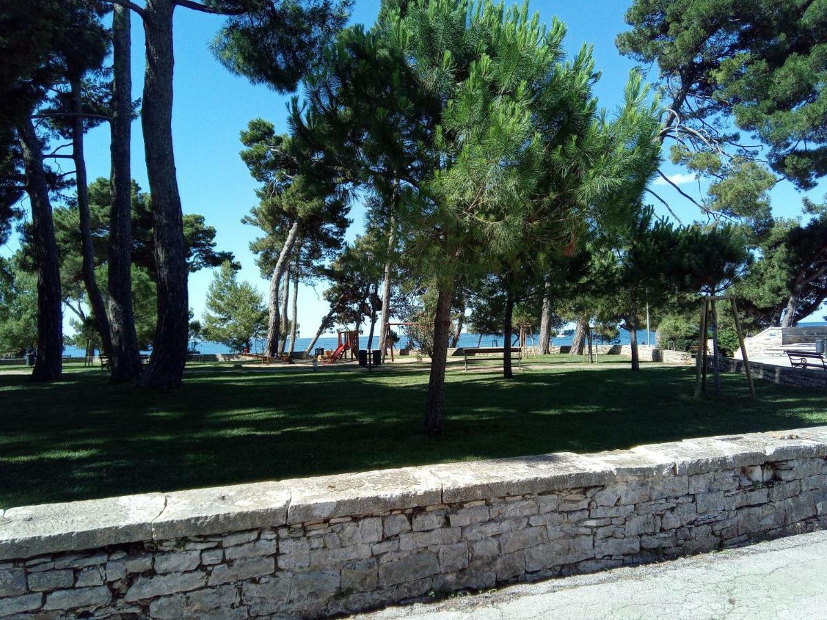 Skipper Suites Novigrad  Zewnętrze zdjęcie